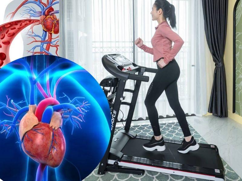   
          Tăng Cường Sức Khỏe Tim Mạch Với Máy Tập Thể Dục